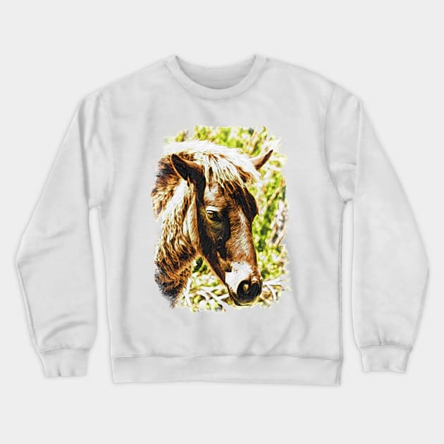 Assateague Pony Wyld Wynds Colt Watercolor Crewneck Sweatshirt by Swartwout